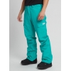 Spodnie snowboardowe BURTON Cargo Pant Regular Dynasty Green